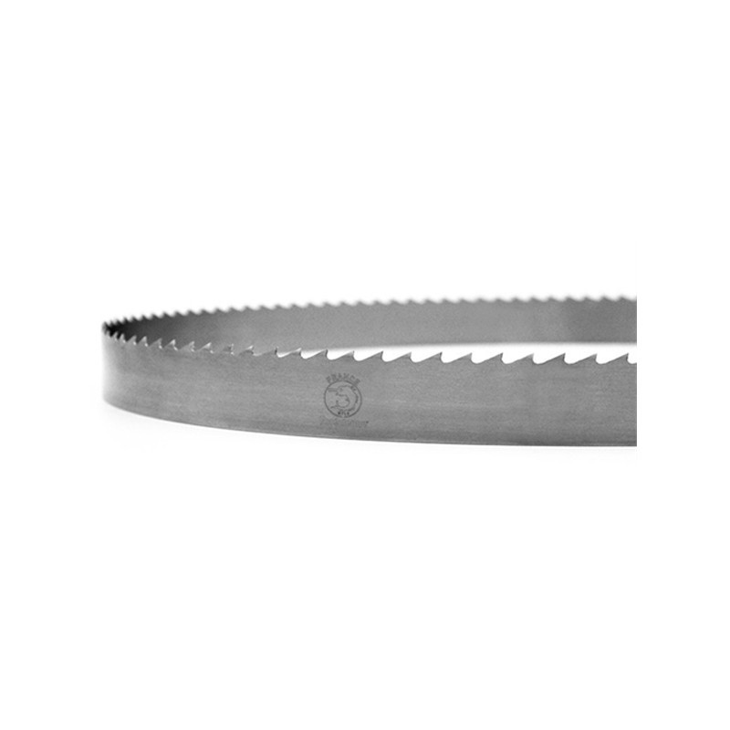 Lame ruban - FOREZIENNE - 3900x15x0,4 mm - pas 8 mm