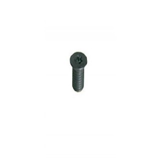 Vis - ELBE VI119705 - Torx T20 - M6x12 mm
